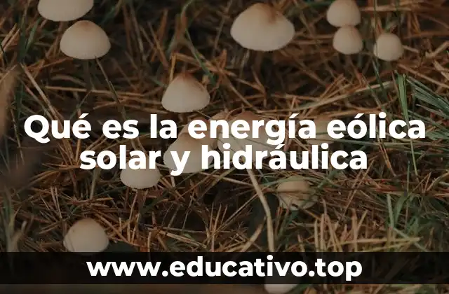 Qué es la energía eólica solar y hidráulica