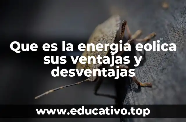 Que es la energia eolica sus ventajas y desventajas