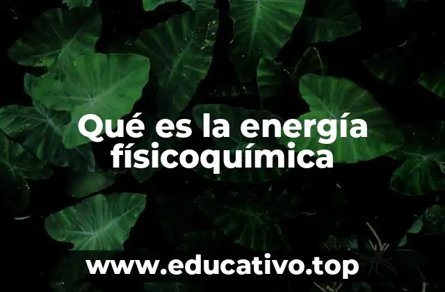 Qué es la energía físicoquímica