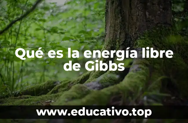Qué es la energía libre de Gibbs