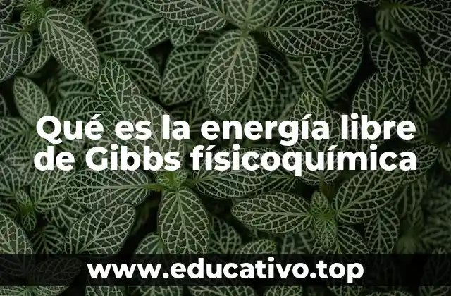 Qué es la energía libre de Gibbs físicoquímica