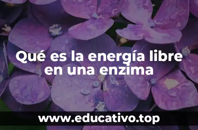 Qué es la energía libre en una enzima