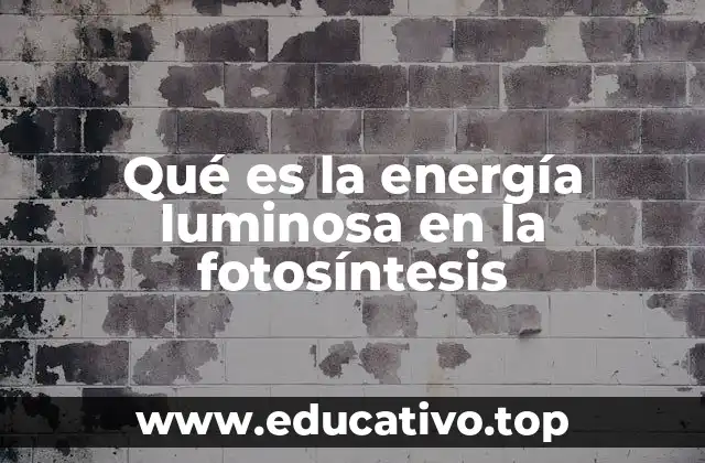 Qué es la energía luminosa en la fotosíntesis