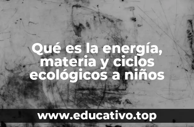 Qué es la energía, materia y ciclos ecológicos a niños
