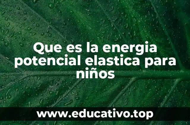 Que es la energia potencial elastica para niños