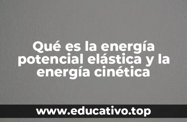 Qué es la energía potencial elástica y la energía cinética
