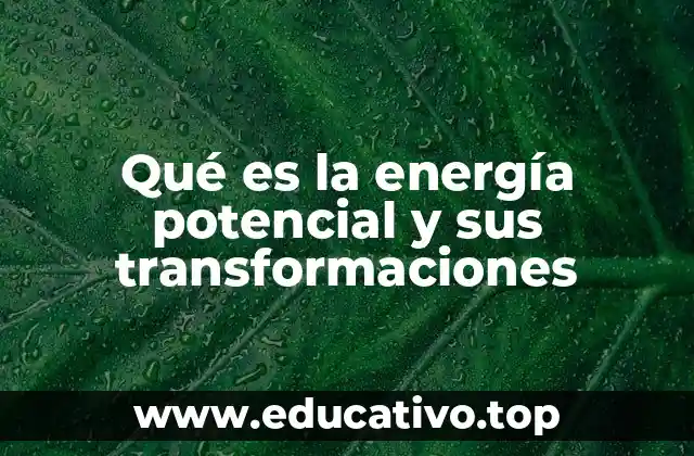 La energía potencial y el principio de conservación de la energía