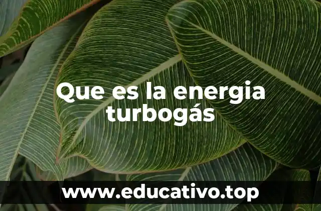 Que es la energia turbogás
