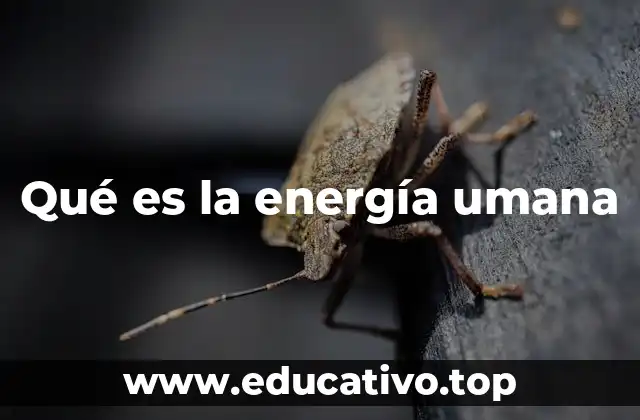 Qué es la energía umana