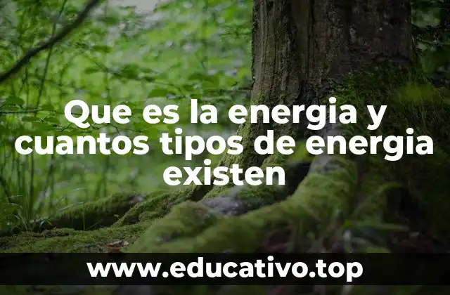 Que es la energia y cuantos tipos de energia existen