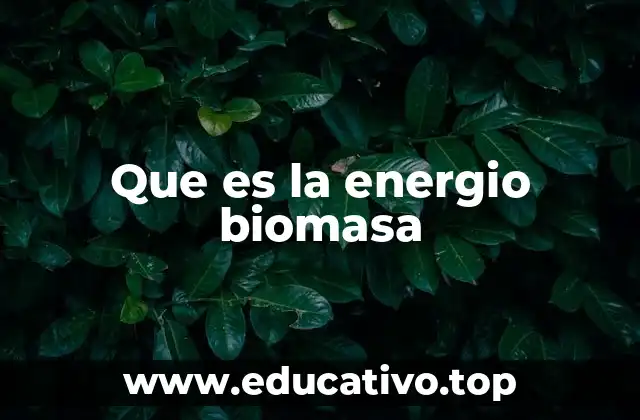 Que es la energio biomasa
