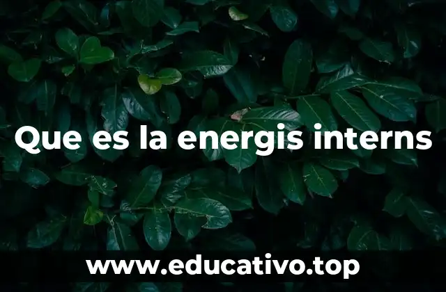 Cómo funciona el programa Energis Interns