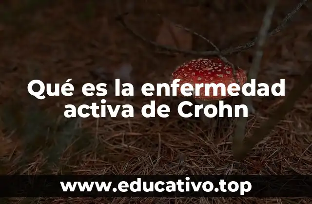 Qué es la enfermedad activa de Crohn