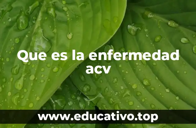 Que es la enfermedad acv
