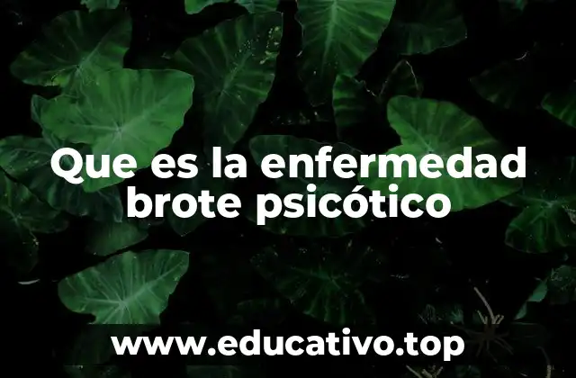 Que es la enfermedad brote psicótico