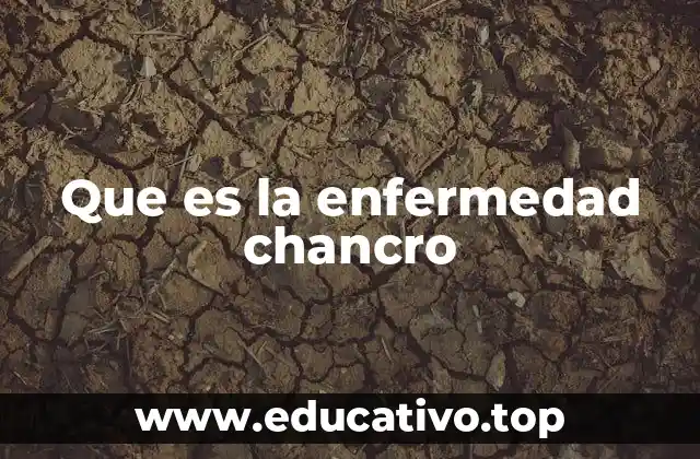 Que es la enfermedad chancro