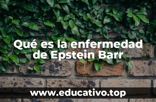 Qué es la enfermedad de Epstein Barr