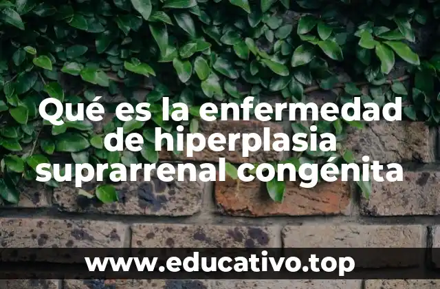 Qué es la enfermedad de hiperplasia suprarrenal congénita