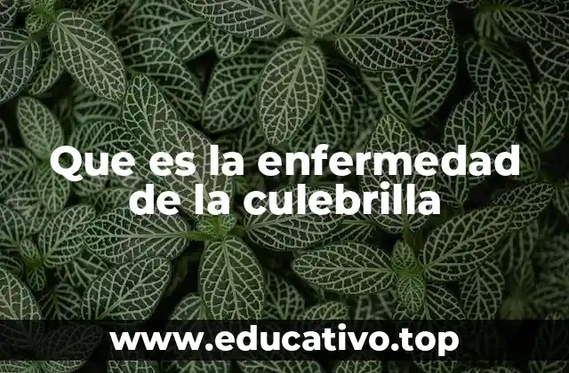 Que es la enfermedad de la culebrilla