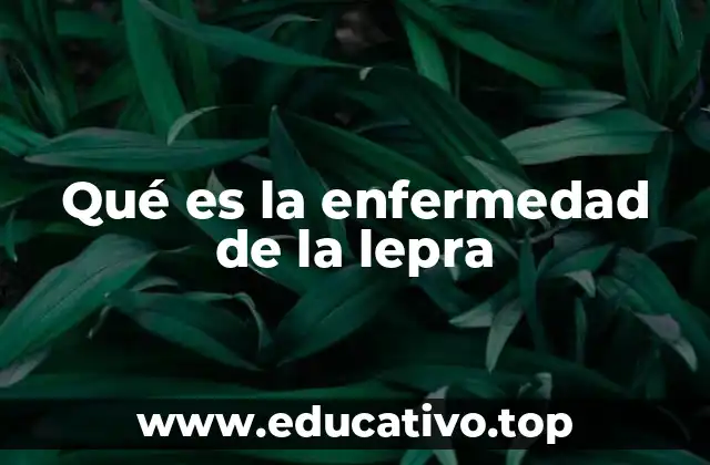 Qué es la enfermedad de la lepra