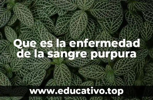 Que es la enfermedad de la sangre purpura