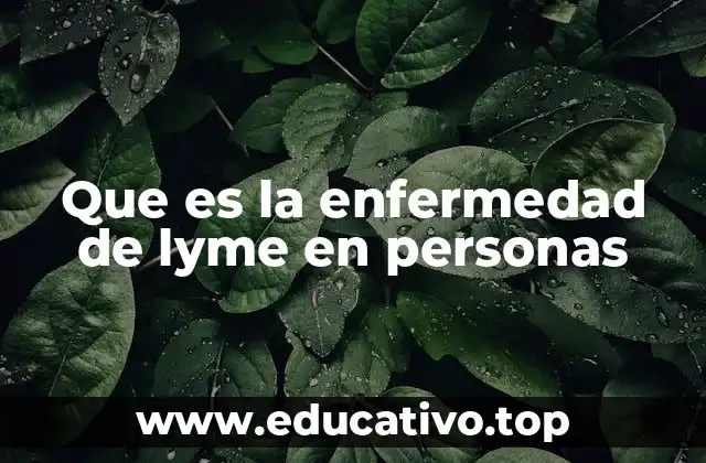 Que es la enfermedad de lyme en personas