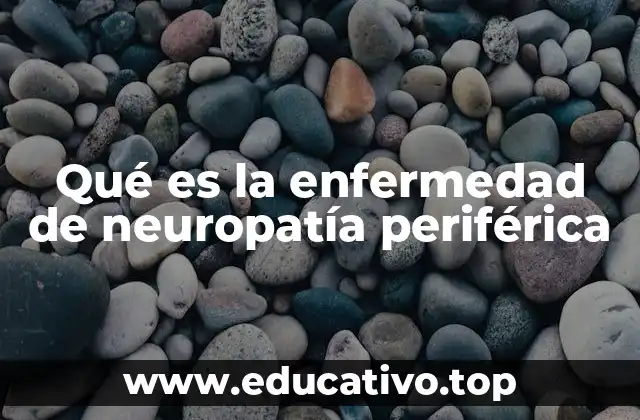 Qué es la enfermedad de neuropatía periférica