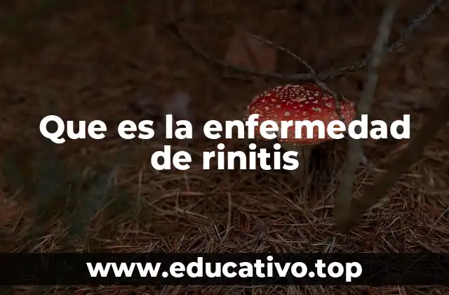 Causas y desencadenantes de la rinitis