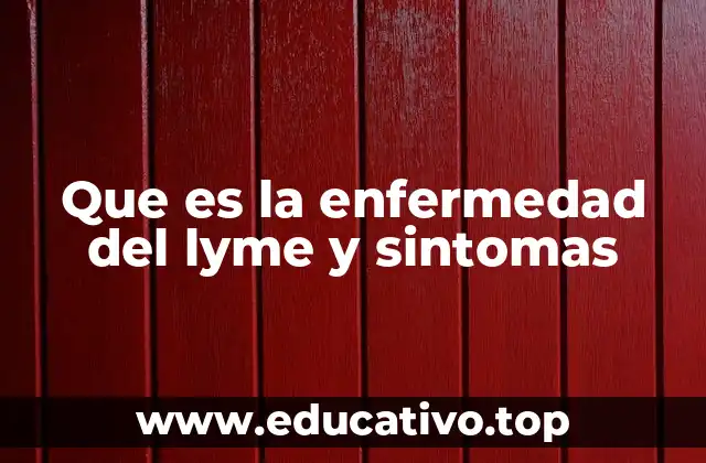 Que es la enfermedad del lyme y sintomas