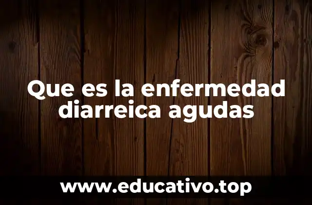 Que es la enfermedad diarreica agudas