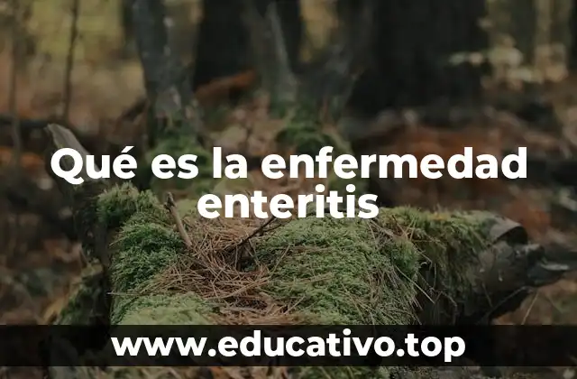 Qué es la enfermedad enteritis