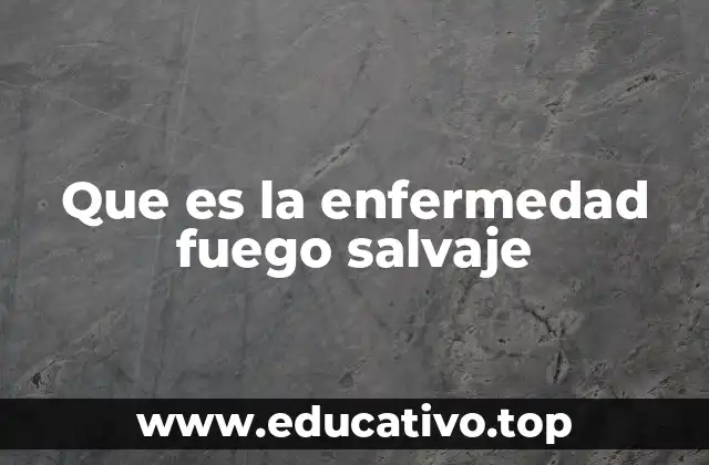 Que es la enfermedad fuego salvaje