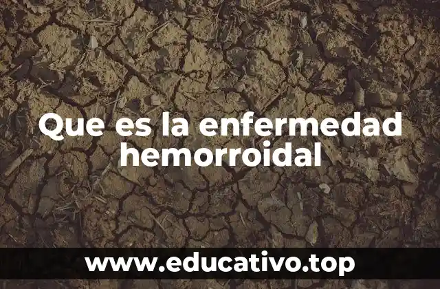 Que es la enfermedad hemorroidal