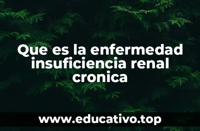 Que es la enfermedad insuficiencia renal cronica