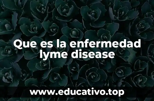 Que es la enfermedad lyme disease