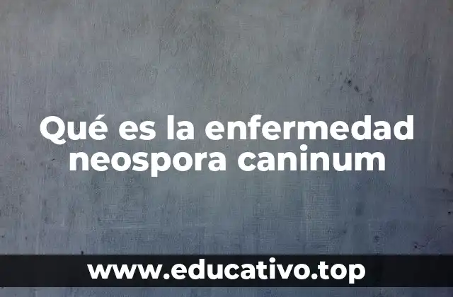 Qué es la enfermedad neospora caninum