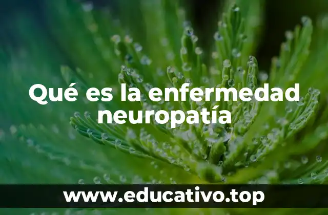 Qué es la enfermedad neuropatía