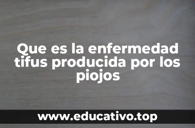 Que es la enfermedad tifus producida por los piojos