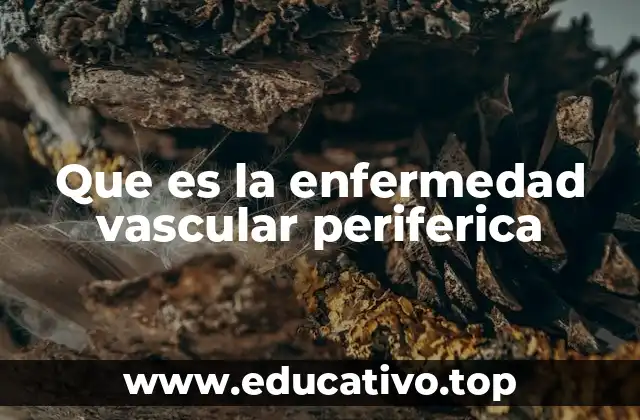 Que es la enfermedad vascular periferica