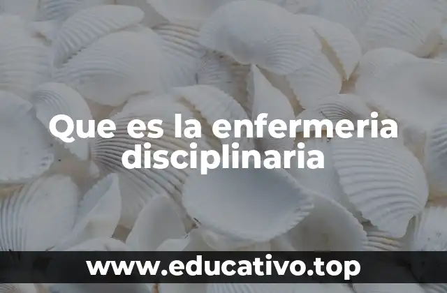 Que es la enfermeria disciplinaria