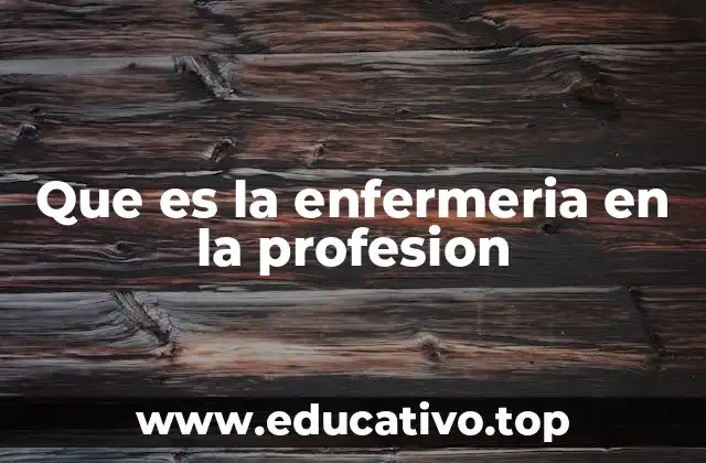 Que es la enfermeria en la profesion