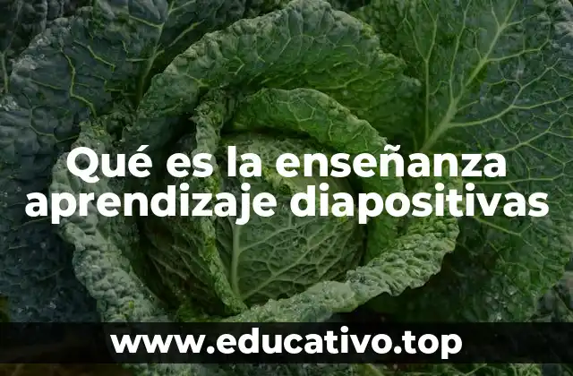 Qué es la enseñanza aprendizaje diapositivas