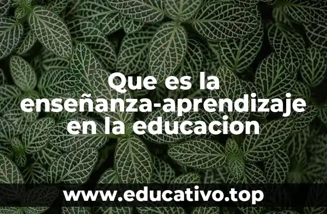 Que es la enseñanza-aprendizaje en la educacion