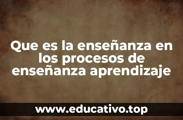 El rol del docente en el proceso educativo