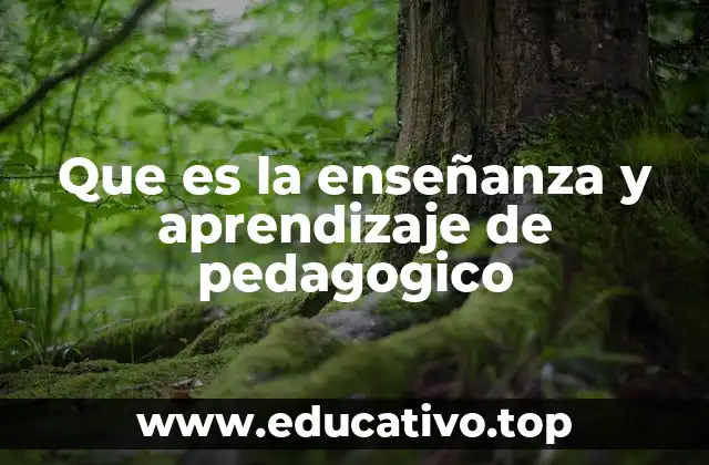 Que es la enseñanza y aprendizaje de pedagogico
