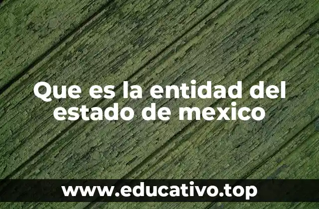 Que es la entidad del estado de mexico