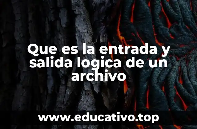 Cómo se implementa la lectura y escritura en sistemas digitales
