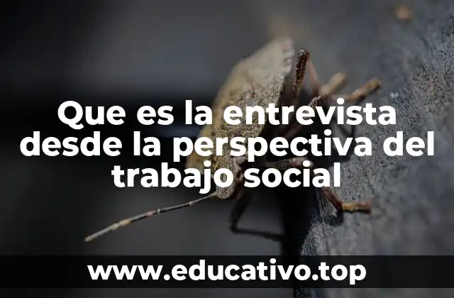 Que es la entrevista desde la perspectiva del trabajo social
