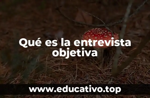Qué es la entrevista objetiva