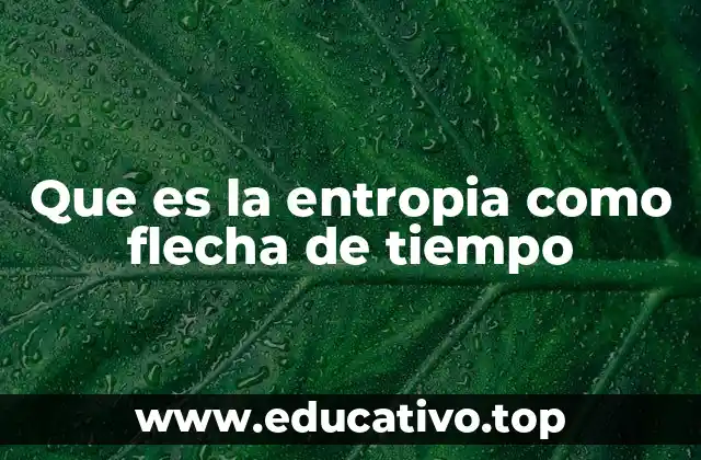 Que es la entropia como flecha de tiempo